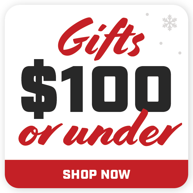 Gifts under $100